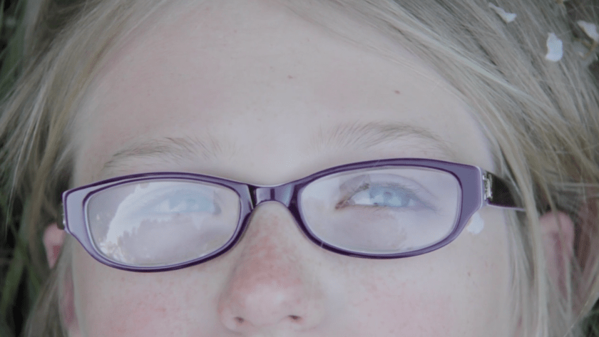 The Arrow and the Song