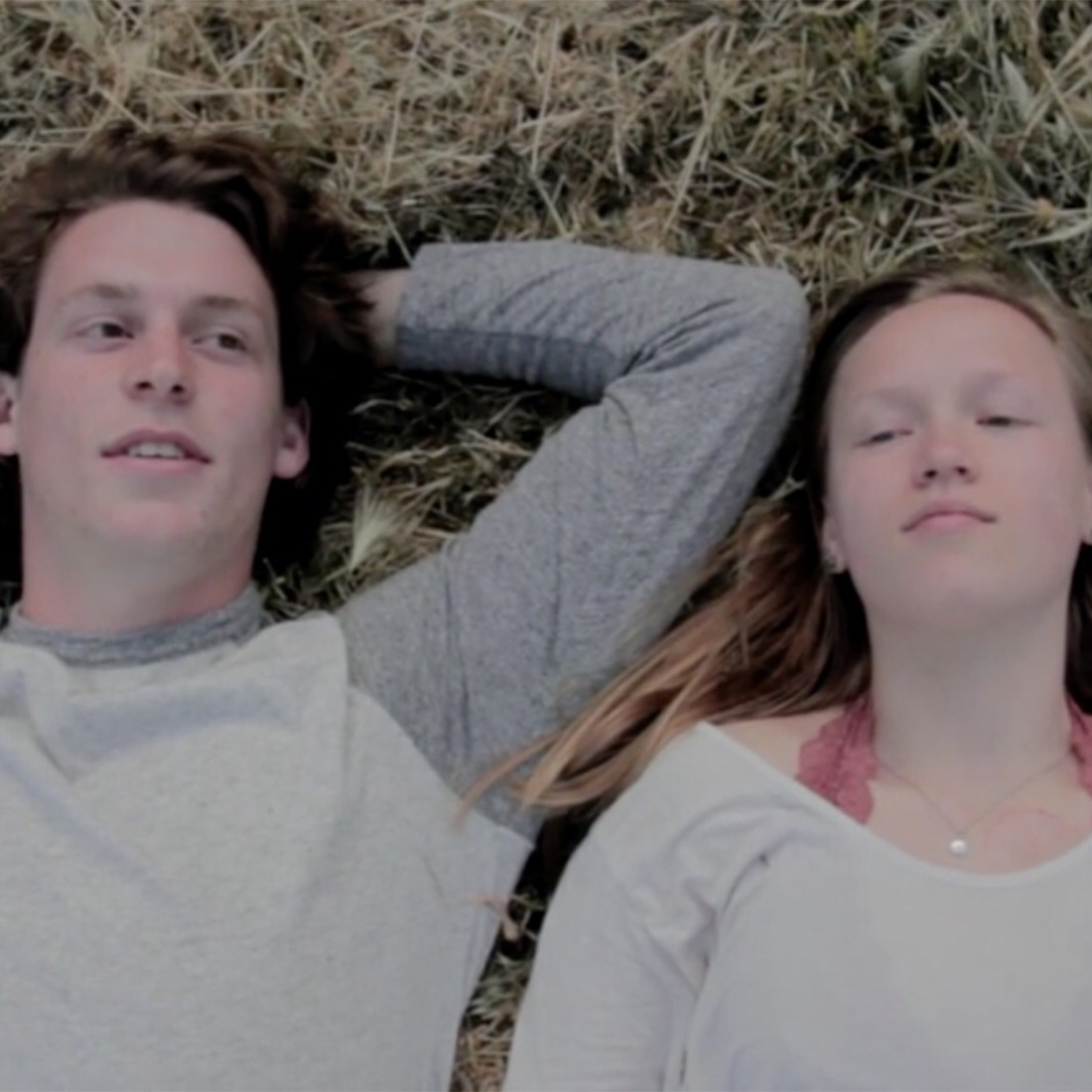 Processed with MOLDIV